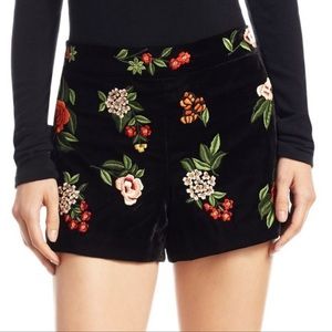 Alice + Olivia Velvet Embroidered Shorts